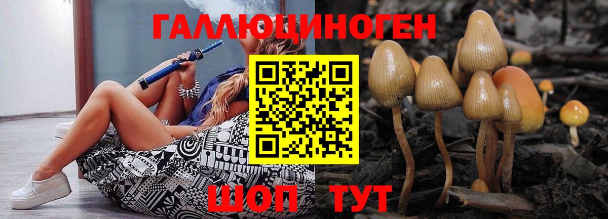 Галлюциногенные грибы Magic Shrooms  Галлюциногенные грибы мухоморы  наркота  Строитель  Вход с VPN 